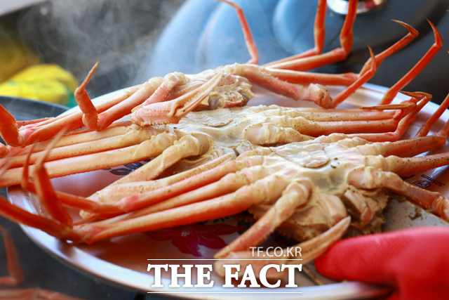 울진의 별미 대게찜 /울진군