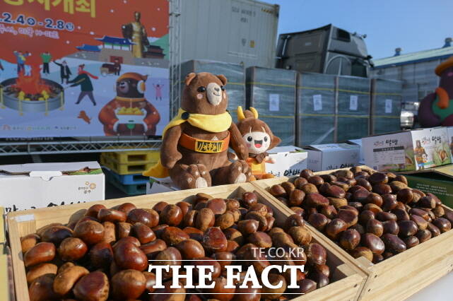 공주알밤 미국 수출 선적 /공주시