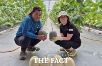  황제가 먹던 '하미과 멜론', 구미 농업의 새 성장축