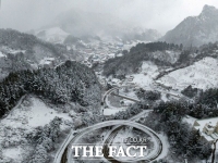  폭설 속 울릉도 산중에서…70대 남성, 새벽 2시간 30분 사투 끝 비극