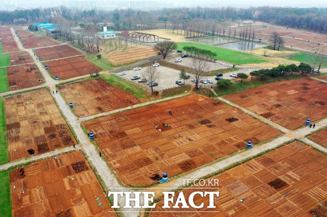 새빛 시민농장 체험 텃밭 중 탑동시민농장. /수원시