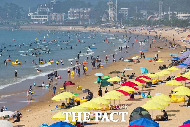 작년 여름 태안 만리포 해수욕장 모습 /태안군