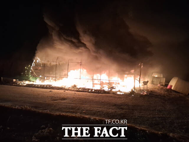 8일 오전 4시 59분쯤 성주군 월항면 장산리의 참외 선별 작업용 비닐하우스 화재현장모습. /경북소방본부