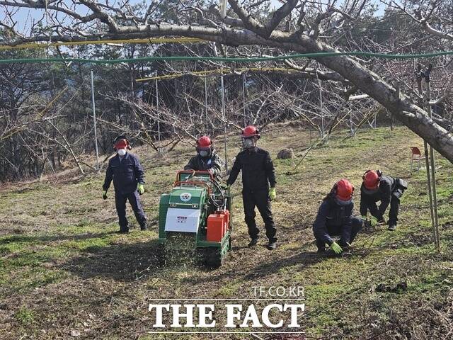 파쇄지원단이 벌교읍 배 과수원에서 잔가지 파쇄작업을 하고 있다. /보성군