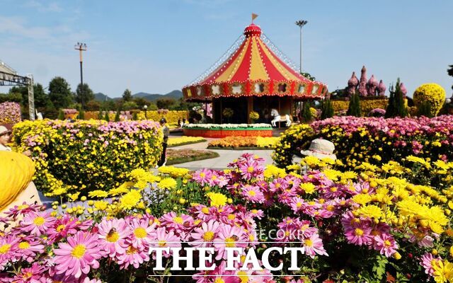 대한민국 국향대전 축제장 전경 /함평군