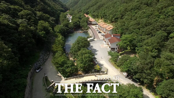 금산산림문화타운 전경. /금산군