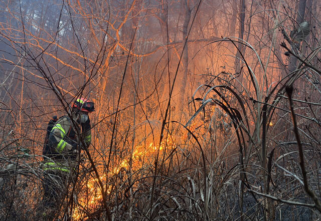 10일 오후 경북 의성군 의성읍 비봉리 한 야산에서 불이 나 당국이 진화하고 있다. /경북소방본부
