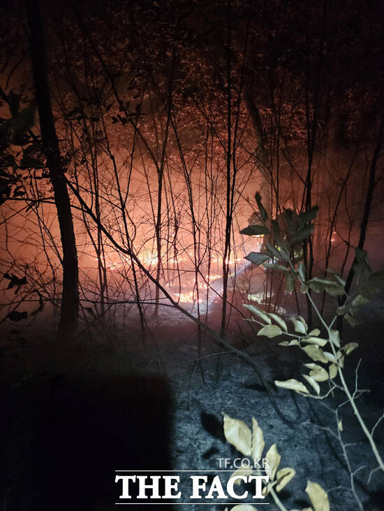 10일 오후 경북 의성군 의성읍 비봉리 한 야산에서 불이나 당국이 밤샘 진화에 나서고 있다. /경북소방본부