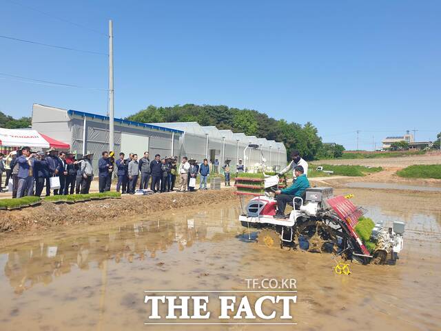 당진시 드문모심기 이앙 연시회 장면. /당진시