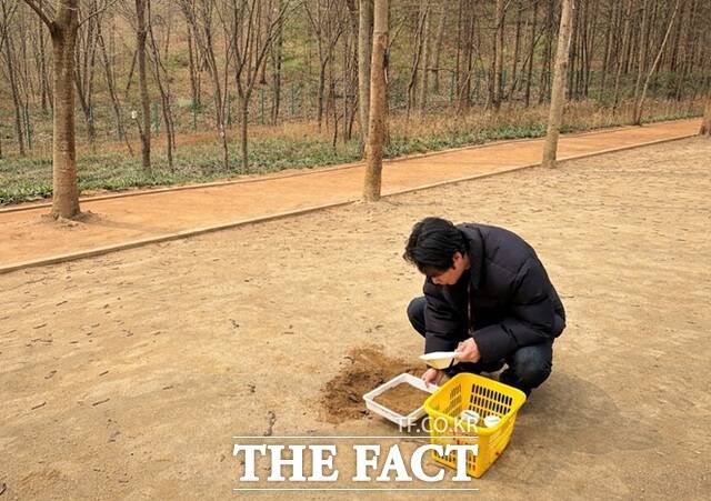 대구시 보건환경연구원 직원이 공원에서 맨발 걷기길의 토양 시료를 채취하고 있다. /대구시