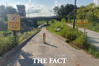  광주시 서구, 서창천 산책로에 '스마트 자동차단장치' 설치