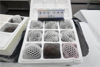  역대 최대 규모 中 밀수 농산물 적발…1150톤 158억원 상당