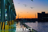  칠흑 같은 어둠 뚫고…울진 죽변항에 울려 퍼진 '희망의 경매'[TF사진관]