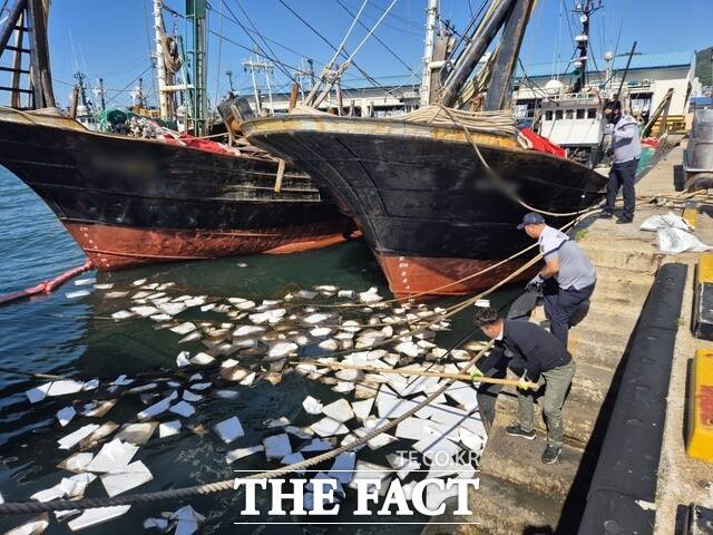 여수해양경찰서가 지난해 6월 여수 국동항에서 발생한 해양오염 사고 현장에서 방제작업을 벌이고 있다. /여수해양경찰서
