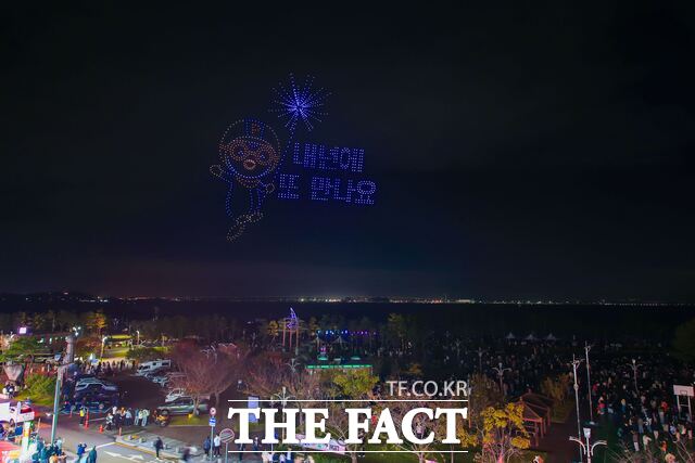 충남 당진 삽교호 드론 라이트 쇼 장면. /당진시