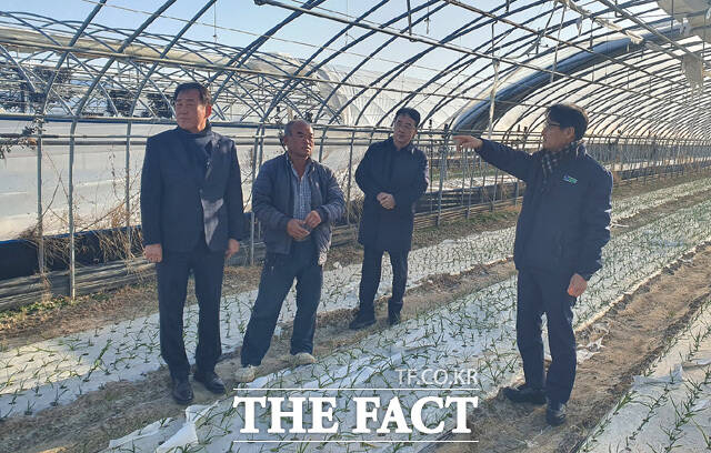 경북 농협이 14일 최근 강풍으로 시설하우스 피해를 입은 고령군 관내 마늘재배 농가를 방문해 농업인을 위로하고 현장을 살펴보고 있다. 왼쪽부터 최종보 동고령농협 조합장, 이정태 조합원, 박병영 고령지부장, 김주원 본부장. /경북 농협