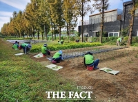  성남시, 2026년 상반기 지역공동체일자리 참여자 135명 모집