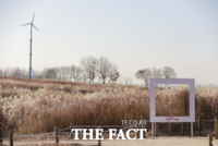  '전국 최대' 하늘공원 억새 군락 겨울에도 본다