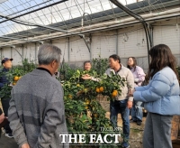  경기 광주에서 감귤농사?…겨울 전정 현장 자문 실시
