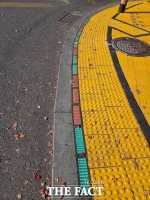  '적·녹색등이 동시에, 이건 무슨 신호?'…경기도, 바닥신호등 44% '불량'