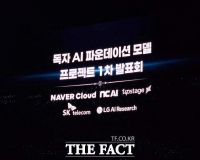  '국가대표 AI' 네이버·NC 탈락…LG·SKT·업스테이지 통과