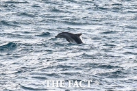  [포토에세이] 쫓지 않아도 보이는 아름다움