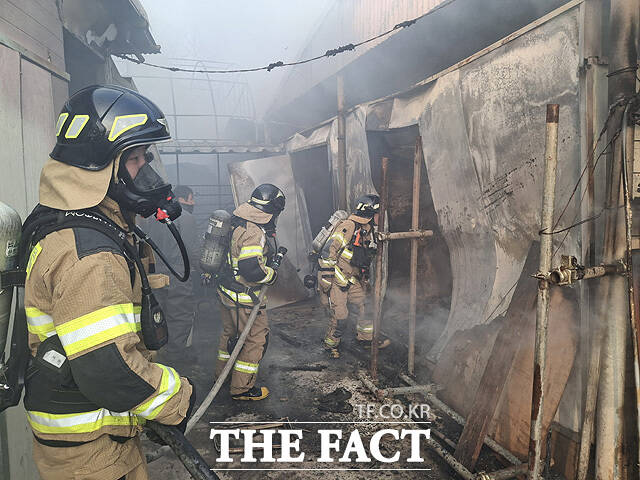 17일 오전 8시 40분쯤 영덕군 축산면의 한 축사에서 불이 나 출동한 소방당국이 화재를 진압하고 있다. /경북소방본부