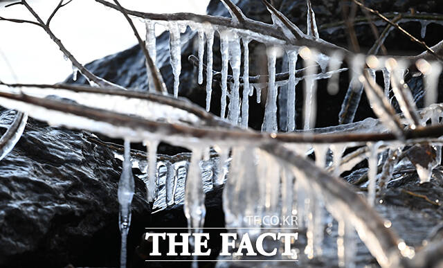 서울 전역에 한파특보가 발효된 2일 오전 서울 영등포구 한강공원에 고드름이 얼어 있다. /박헌우 기자