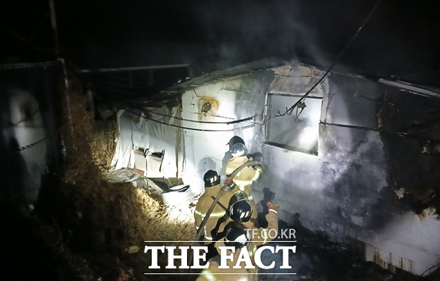 17일 오후 7시 33분쯤 의성군 안계면의 한 돈사에서 불이 나 출동한 소방당국이 화재 진압을 하고 있다. /경북소방본부