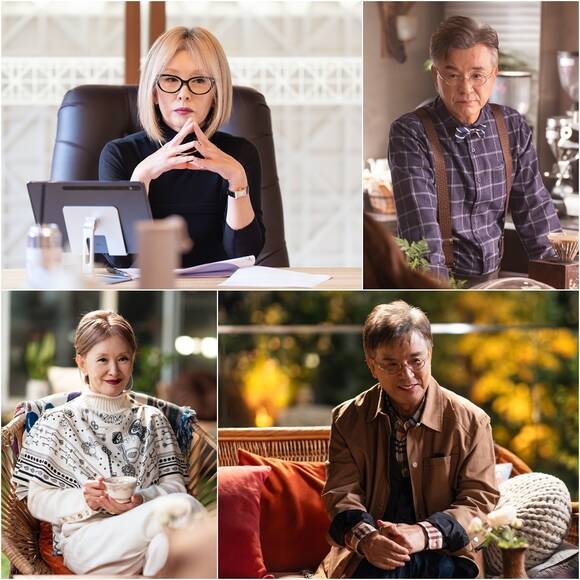 배우 이미숙과 강석우(왼쪽 위부터)가 MBC 새 금토드라마 '찬란한 너의 계절에'로 40년 만에 다시 호흡을 맞춘다. /MBC