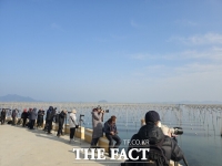  장흥군 대덕읍 매생이 양식장, 겨울철 사진 명소로 '인기'