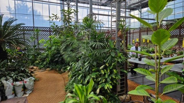 반려식물병원은 2023년 4월 개원 이후 3년간 총 8,698건의 진료 실적을 기록하며 시민 생활 속 반려식물 진료 공간으로서 안정적으로 자리매김했다. 사진은 반려식물병원 입원치료실. /서울시