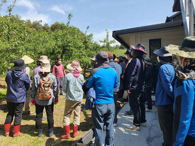 예비 귀농귀촌인들이 과수농가를 방문해 현장 교육을 받고 있다. /영주시