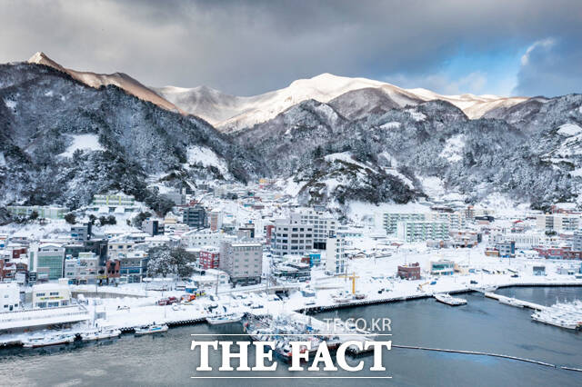 울릉도지역이 설국으로 변했다. /울릉군