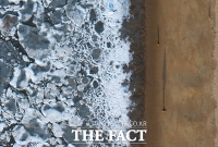  최강 한파로 '얼음장' 날씨…'꽁꽁 얼어붙은 동막해변' [TF포착]