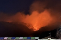  전남 광양 산불, '국가소방동원령 발령' 밤샘 진화 나서... 진화율 66%