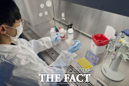 경기도동물위생시험소 관계자가 아프리카돼지열병(ASF)이 발생한 강원 강릉시 양돈농장을 방문 차량이 출입한 농장에 대한 정밀검사를 진행하고 있다. /경기도