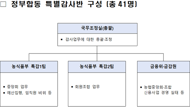 정부합동 특별감사반 구성표 /국무조정실
