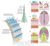  하지환 국립한밭대 교수 연구팀, 통증 없는 '벌침 모사형 마이크로 니들' 세계 최초 개발