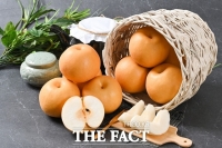  나주시, 기후변화 대응 나주배 육성 실무협의회 개최