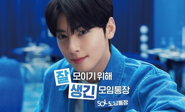 23일 연예·금융권에 따르면 신한은행은 최근 자사 유튜브 채널과 공식 SNS 계정에서 차은우 관련 광고 영상과 게시물을 비공개로 전환했다. /신한은행