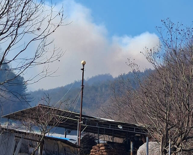 봉화군 재산면 현동리 인근 야산에서 불이 나 연기가 솟아오르고 있다. /경북소방본부