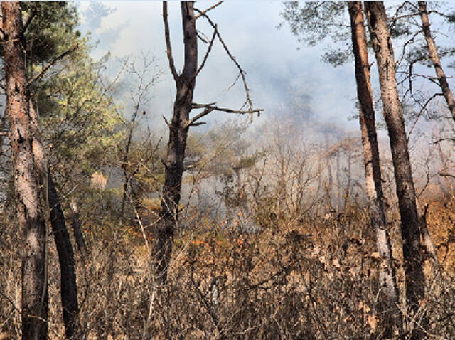 봉화군 재산면 현동리 인근 야산에서 불이 나 연기가 솟아오르고 있다. /봉화군