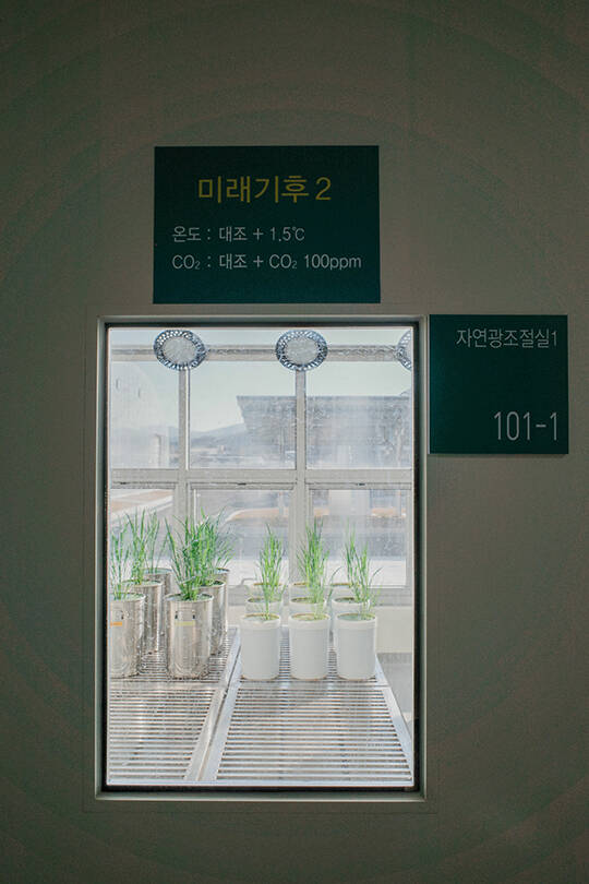 농촌진흥청 기후조절실 내부./공동취재단