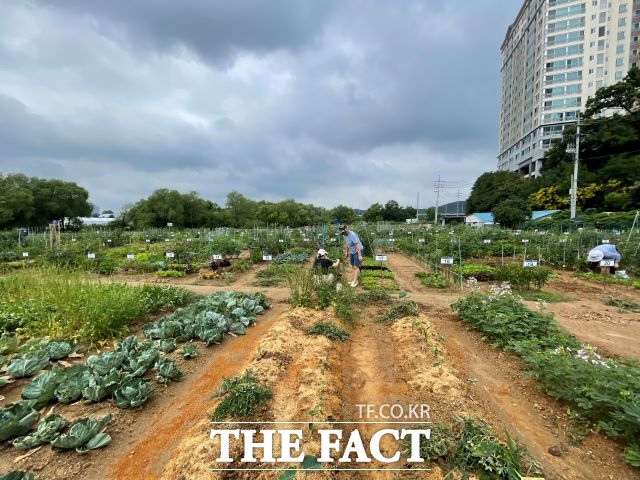 용인시민농장. / 용인시
