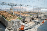  '폭우·고온 극한환경 실험'…농업 기후재난 대비