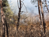  봉화군 재산면 산불 확산 저지…헬기 11대 투입 진화율 80%