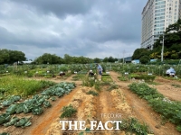  용인시, 시민농장 분양받을 도시농부 815개 팀 모집