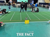 충남도교육청, '제2회 AI 로봇 스포츠 한마당' 성료
