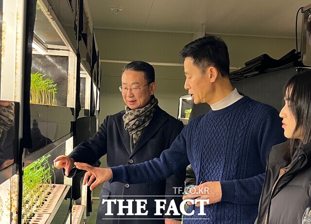 일본 다카세 차업조합 관계자가 영광군 새싹인삼 재배시설을 둘러보고 있다. /영광군